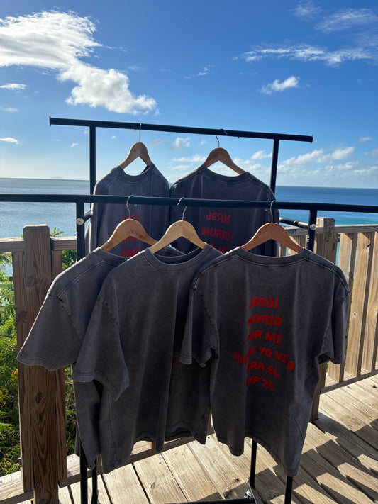 El Precio Que Pagó por Mí